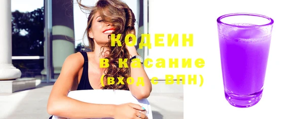 индика Покачи