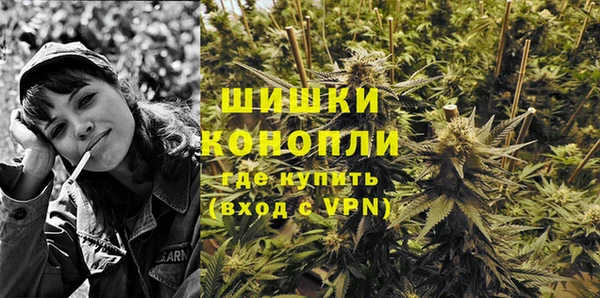 ALPHA PVP Белокуриха