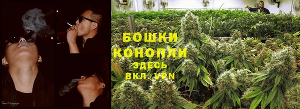 индика Покачи