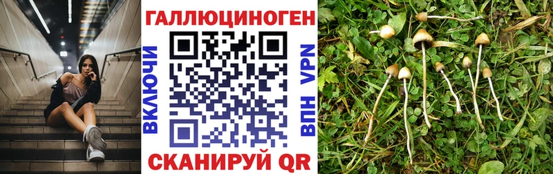 Псилоцибиновые грибы Magic Shrooms  Няндома 